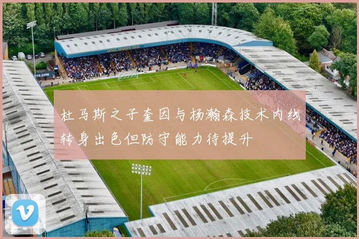 杜马斯之子奎因与杨瀚森技术内线转身出色但防守能力待提升