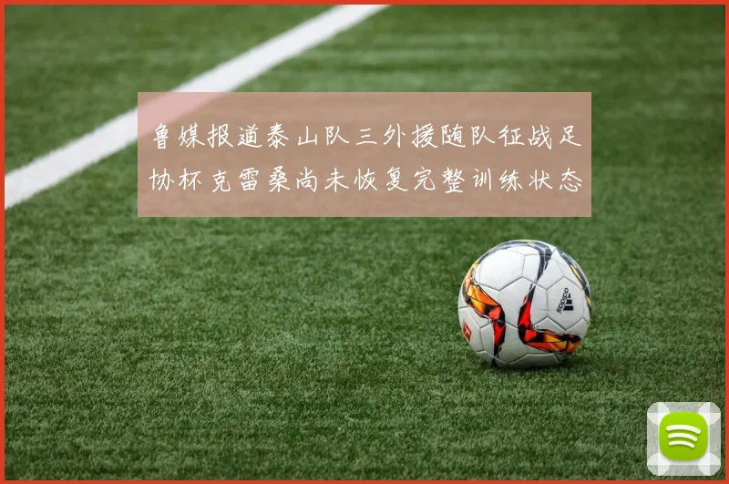 鲁媒报道泰山队三外援随队征战足协杯克雷桑尚未恢复完整训练状态