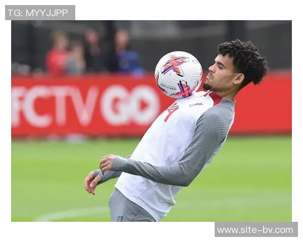 耗时50小时迪亚斯狮子纹身仍未完成回顾利物浦时期的艺术之旅 耗时50小时迪亚斯狮子纹身仍未完成回顾利物浦时期的艺术之旅